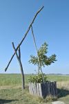 DSC_0336